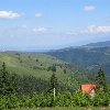 Păltiniș