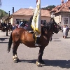 Brașov