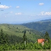 Păltiniș