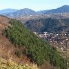 Moeciu