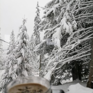 Cabana Sky View Rânca Transalpina Rânca