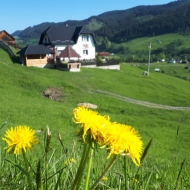 Pensiunea Bucovina Mea Breaza