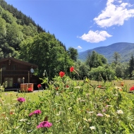 Casa de vacanță Timber Charm Chalet Râu Sadului