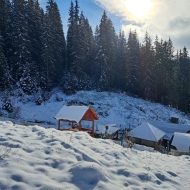 Cabana Poiana Horea Florin Beliș