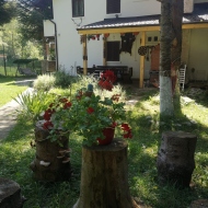 Cabana Casa din Poveste Valea Doftanei