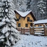 Casa Sinca Timișu de Jos