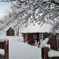 Cabana Bunicilor Răchițele