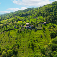 Conacul Fruntea cu Cerul Ilovița