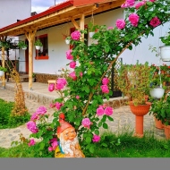 Casa Tiny Mara Râmnicu Vâlcea