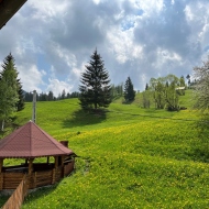 Casa de vacanță Casa Aurelia Moldovița