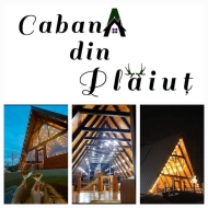 Cabana Din Plăiuț Bârsana