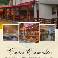 Casa Camelia Săcel