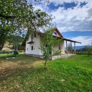 Casa de vacanță Casa Mihnea Vatra Dornei