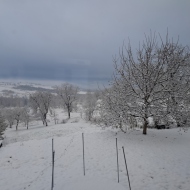 Casa Hotea Ocna Șugatag