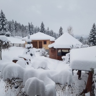 Casa Cuibușor în Bucovina Dorna Arini