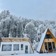 Casa Ursu Cârțișoara