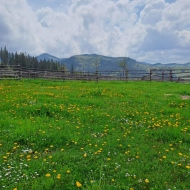 Casa de vacanță Albă Vatra Moldoviței