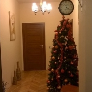 Apartament Mozart Cluj Napoca