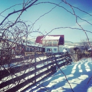 Camere de închiriat Poezii Alese Valea Drăganului