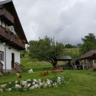 Camere de închiriat Casa de la Muntele Craiului Sat Măgura