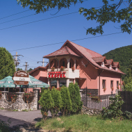 Pensiunea Castel Timișu de Jos