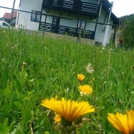 Cabana Verde de Bucovina Fundu Moldovei