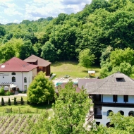 Pensiunea Casa Cartianu Turcinești