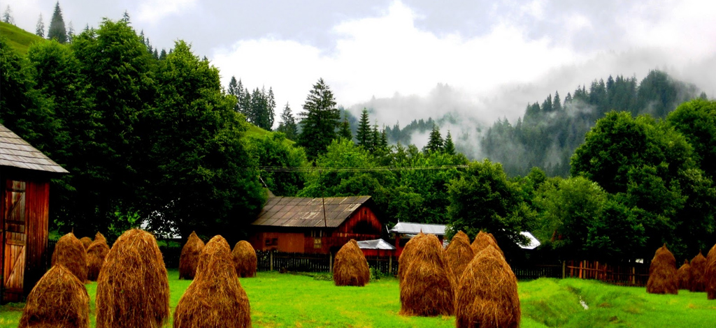 Bucovina